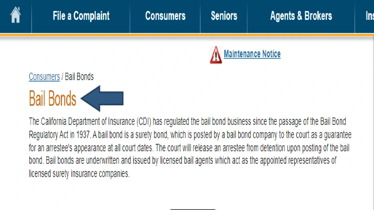 A screenshot showing that bail bonds help ensure the person who's bonded out appears at their court date since they act as representatives of the arrestee. 
