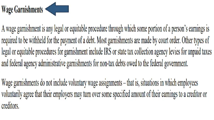 A screenshot revealing that wage garnishments are withheld from a persons earnings, ordered by court, and do no include voluntary giving of funds to creditors or custodial parents. 