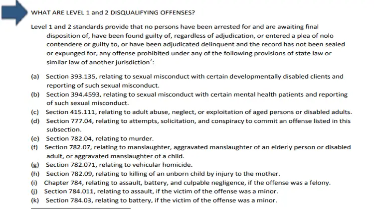 A screenshot showing various types of criminal history that will disqualify applicants from level 1 background check, things such as child abuse, sexual assault, violent crimes and more. 