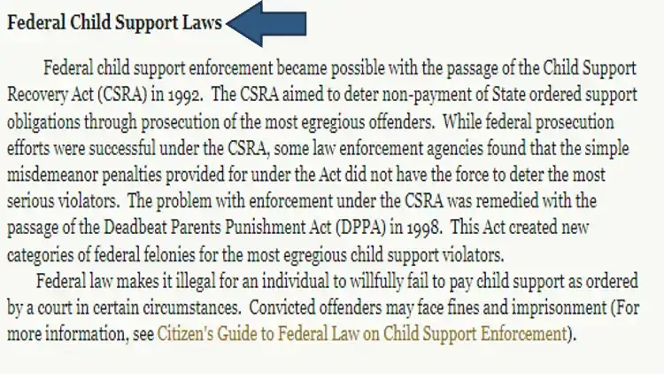 A screenshot showing the Child Support Recovery Act was implemented, followed by the Deadbeats Parents Punishment Act which made a failure to pay a felony offense that can lead to imprisonment or fines. 